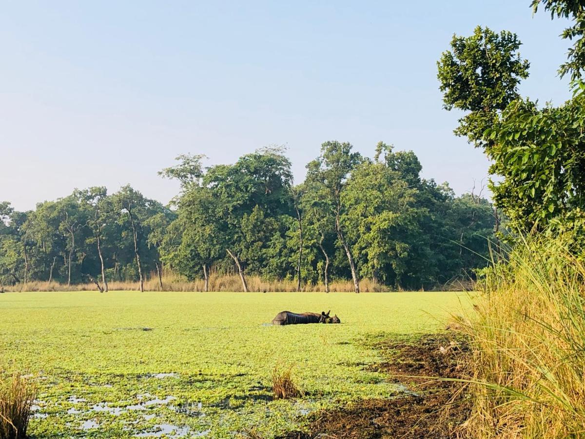 Hotel Happy Land Chitwan Exterior foto